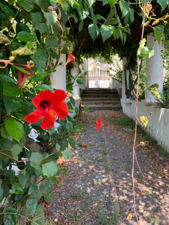 Casa Diana Arianna Appartement Lipari  Buitenkant foto